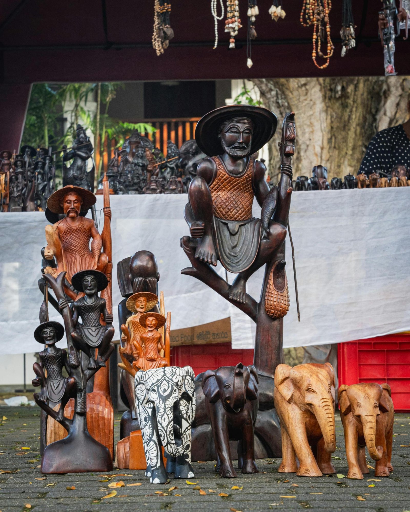 Snorkeling in South Coast